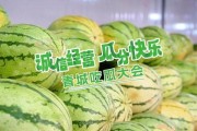 吃瓜大会是什么意思