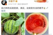 娱乐圈吃瓜的图片大全,揭秘明星幕后生活瞬间