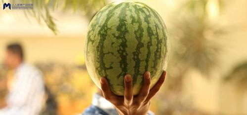 2021年娱乐圈吃瓜